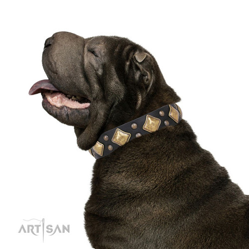 Sharpei Halsband aus Leder