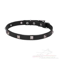 Dog Collar made of Leather Stylish and Comfortable