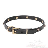 Dnnes Hundehalsband Leder mit vermessingten Kegeln