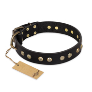 Exklusives Nietenhalsband fr Hund "Black Elegance" FDT Artisan