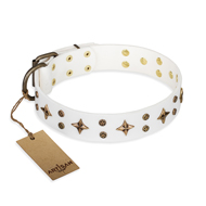 Collier glamour pour chien "Bright
stars" FDT Artisan