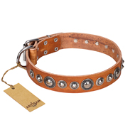 Hundehalsband Leder kaufen von Artisan FDT