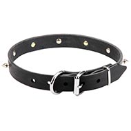 Hunde Halsband Dnn mit Spikes und Totenkpfen