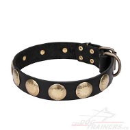 Leder Hundehalsband mit gravierten Messing Kreisen