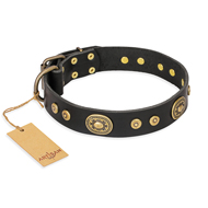 Collier cuir & laiton pour chien "Golden Radiance" FDT Artisan