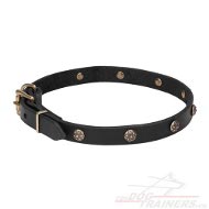 Das enge Leder Hundehalsband mit gravierten Messing Nieten