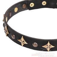 Dog Collar Bronzed Decoration Milky Way Design