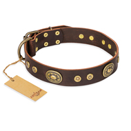 Brown Leather Collar "One-of-a-Kind" FDT Artisan