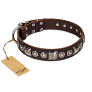 Braunes Hundehalsband aus Leder "Pierian spring" FDT Artisan