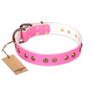 /images/Collier-pour-chien-Pink-Pleasure-FDT-Artisan.jpg