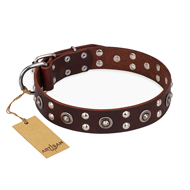 Collier  la mode "Pirate Treasure" FDT Artisan pour chien