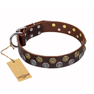 Collier marron pour chien Strong Shields FDT Artisan