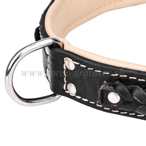 Collier en cuir et chrome pour chien