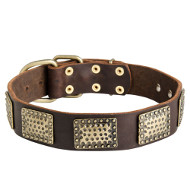 Dog Collar with Square Brass Plates