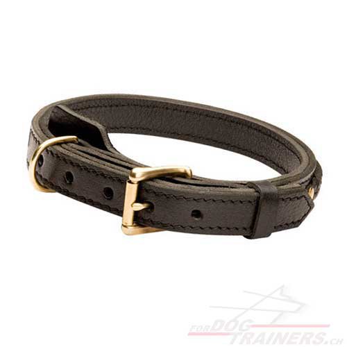 Collier costaud pour chien