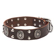 Leder Hundehalsband mit ovalen Conchos und Nieten