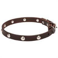 Dnnes Hundehalsband aus echtem Leder