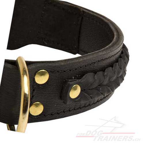 Collier en cuir noir pour Berger belge Tervueren