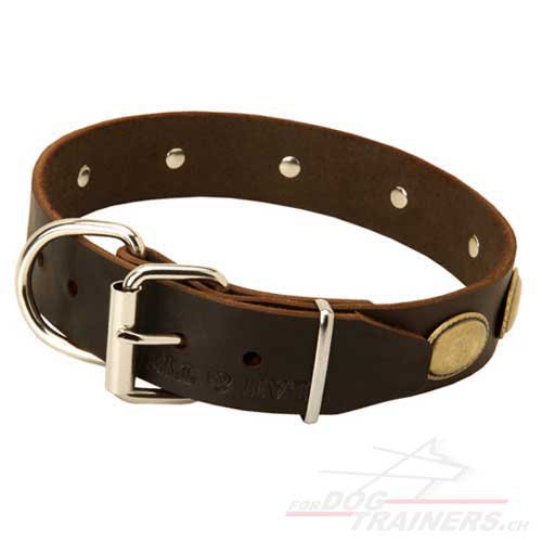 Collier de promenade en cuir pour chien