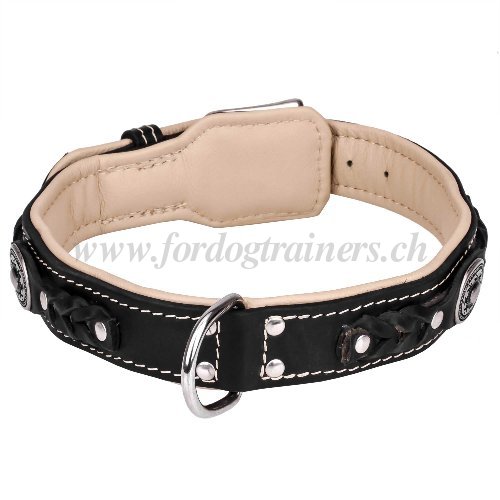 Collier en cuir de 2 types pour chien