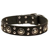 Leder Hundehalsband Modischer Look