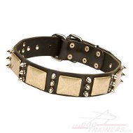 Edles Hundehalsband mit Platten und Spikes | Schnes Halsband