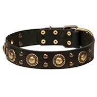 Designer Lederhalsband Hund Messingkreisen