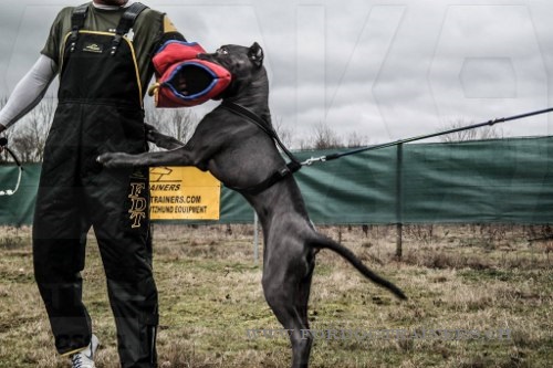 Combinaison pratique pour entraneur canin