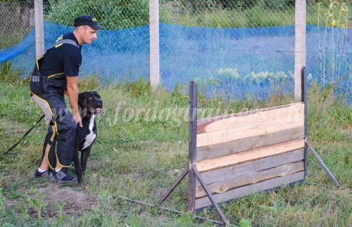 Tablier-pantalon de matre-chien