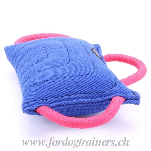 Coussin ducation & Mordant pour chien