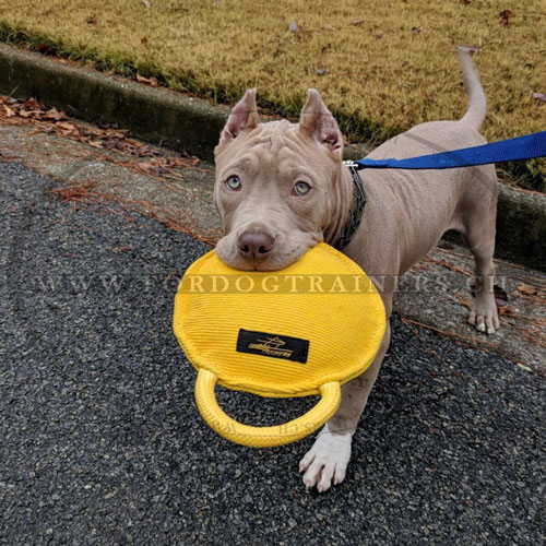 Coussin de dressage pour Pitbull