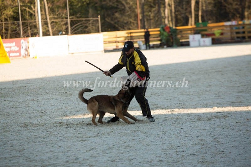 Fouet pour entraner le chien aux rappels