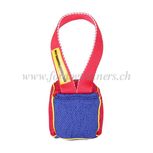 Cube de rappel pour chien Dressage & Jeux