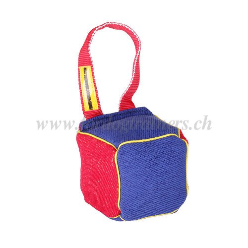 Cube de dressage pour Pitbull Terrier