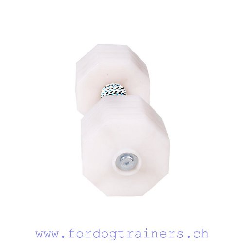 Pet Training Dumbbell with Weight Plates