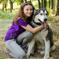 ducation canine/Psychologie du chien