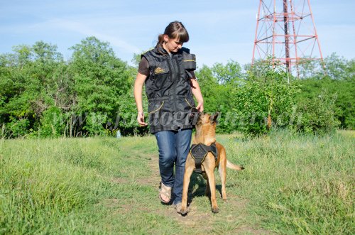 Gilet de conducteur pour sport canin