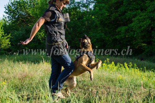 Survtement pratique pour entraneur canin