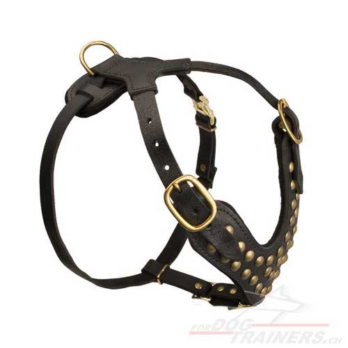 Harnais ergonomique en cuir pour chien