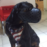 Handbemaltes Ledergeschirr fr Rottweiler "USA Stolz"