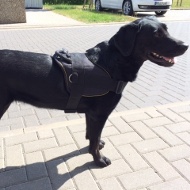 Hunde Geschirr aus Nylon fr Labrador Retriever