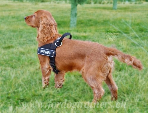 Harnais en nylon pour Spaniel