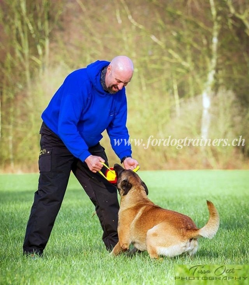 Ballon
pour Berger allemand