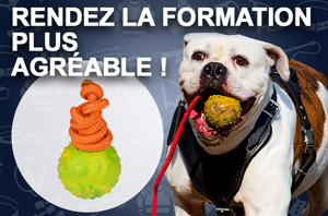 Rendez la formation de votre chien
plus agrable