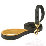 Laisse en cuir pour chien avec
poigne confort