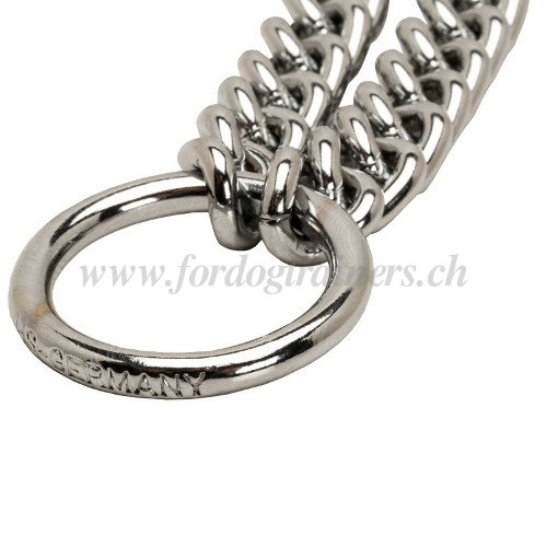 Laisse chane chrome pour 2 chiens