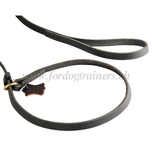 Laisse avec collier trangleur pour jeune chien