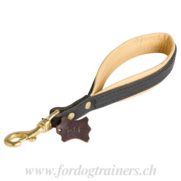 Laisse courte pour gros chien Leisurely walk