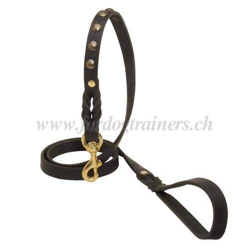 Laisse en cuir de qualit pour chien