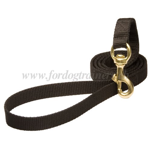 Laisse en nylon 180 cm de long pour chien